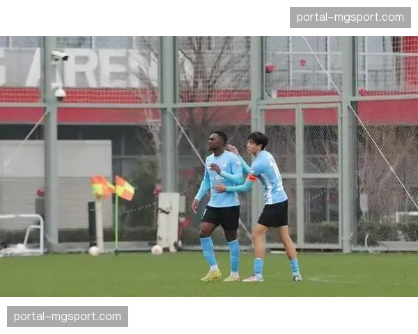 大连英博签下斯坦丘等老熟人 降低试错成本主打实用性